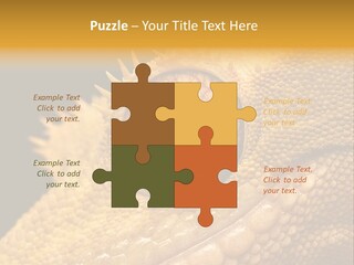 New Caledonian Crested Gecko Reptile Ciliatus PowerPoint Template