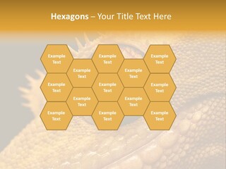 New Caledonian Crested Gecko Reptile Ciliatus PowerPoint Template