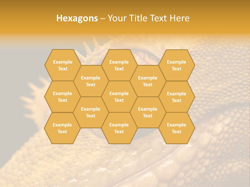 New Caledonian Crested Gecko Reptile Ciliatus PowerPoint Template