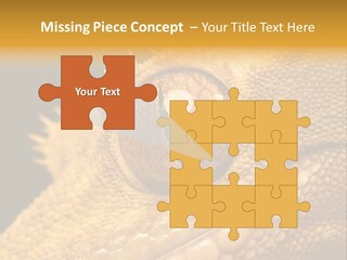 New Caledonian Crested Gecko Reptile Ciliatus PowerPoint Template