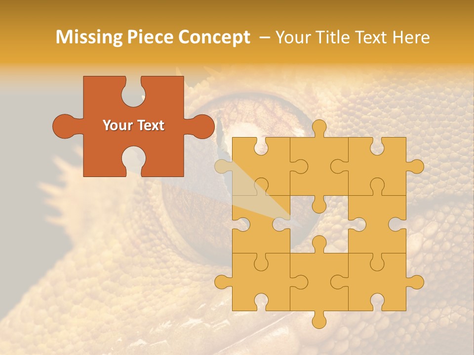 New Caledonian Crested Gecko Reptile Ciliatus PowerPoint Template