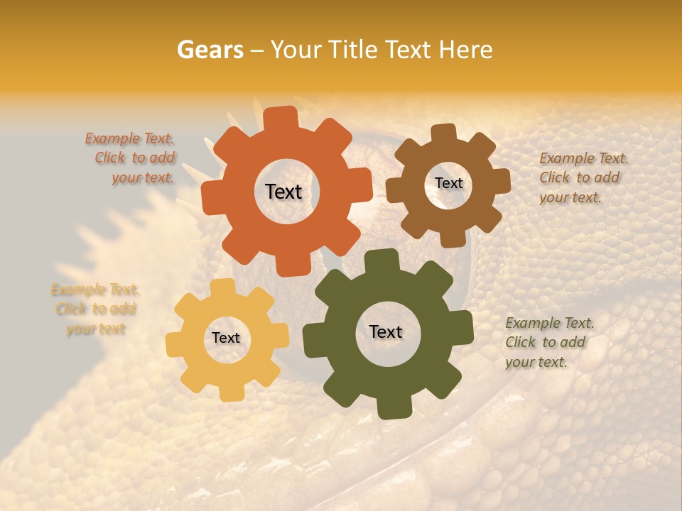 New Caledonian Crested Gecko Reptile Ciliatus PowerPoint Template