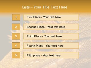 New Caledonian Crested Gecko Reptile Ciliatus PowerPoint Template