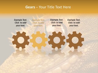 New Caledonian Crested Gecko Reptile Ciliatus PowerPoint Template