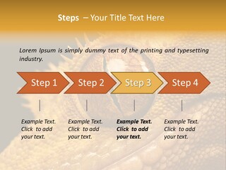 New Caledonian Crested Gecko Reptile Ciliatus PowerPoint Template