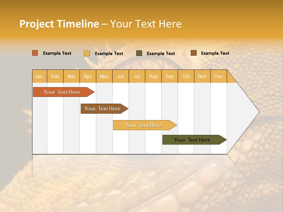 New Caledonian Crested Gecko Reptile Ciliatus PowerPoint Template