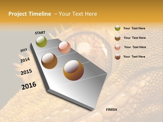 New Caledonian Crested Gecko Reptile Ciliatus PowerPoint Template