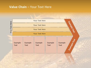 New Caledonian Crested Gecko Reptile Ciliatus PowerPoint Template