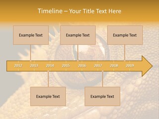 New Caledonian Crested Gecko Reptile Ciliatus PowerPoint Template