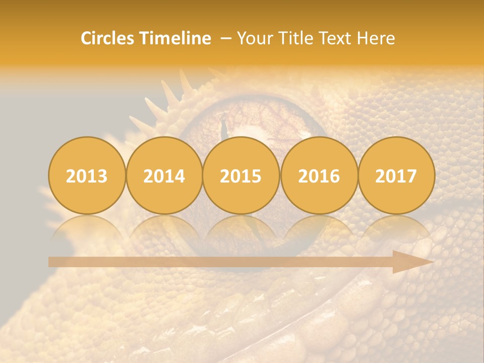 New Caledonian Crested Gecko Reptile Ciliatus PowerPoint Template