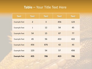 New Caledonian Crested Gecko Reptile Ciliatus PowerPoint Template