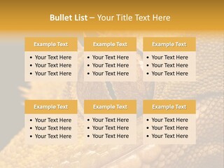 New Caledonian Crested Gecko Reptile Ciliatus PowerPoint Template