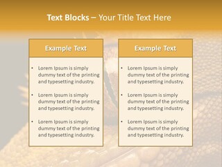 New Caledonian Crested Gecko Reptile Ciliatus PowerPoint Template