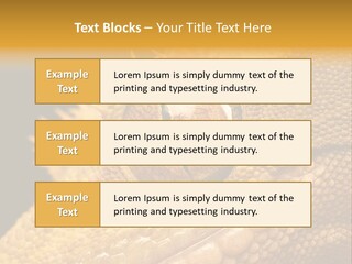 New Caledonian Crested Gecko Reptile Ciliatus PowerPoint Template