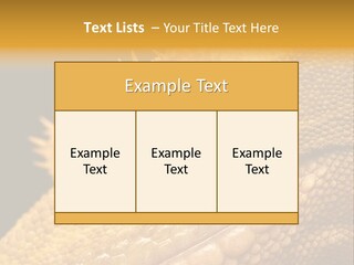 New Caledonian Crested Gecko Reptile Ciliatus PowerPoint Template