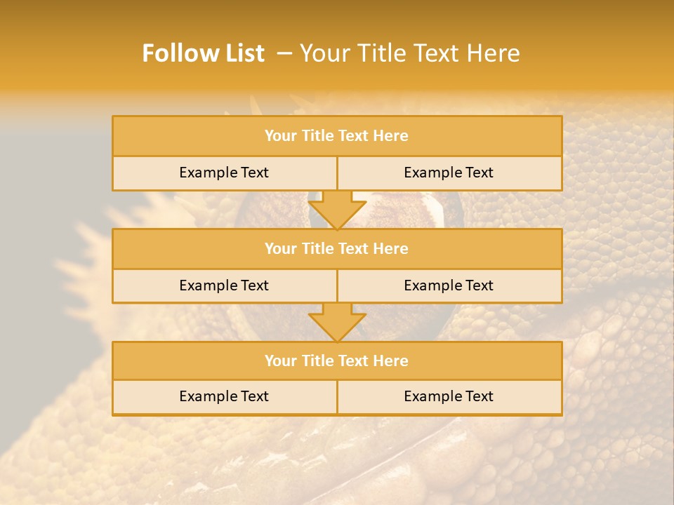 New Caledonian Crested Gecko Reptile Ciliatus PowerPoint Template