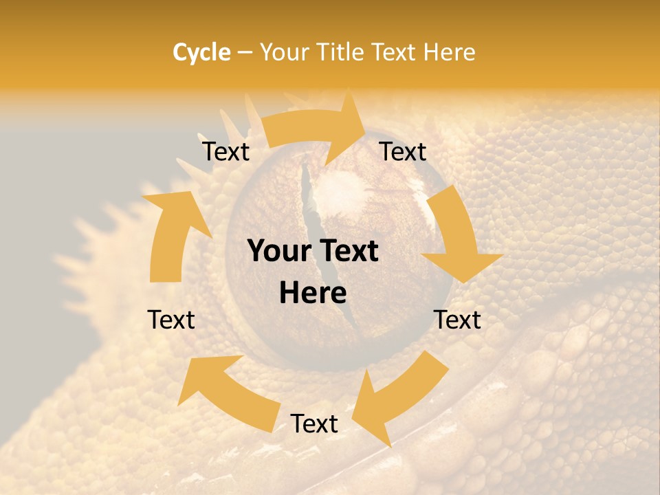 New Caledonian Crested Gecko Reptile Ciliatus PowerPoint Template