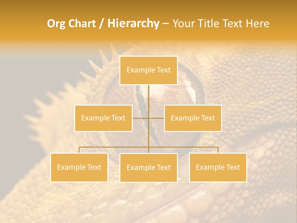 New Caledonian Crested Gecko Reptile Ciliatus PowerPoint Template