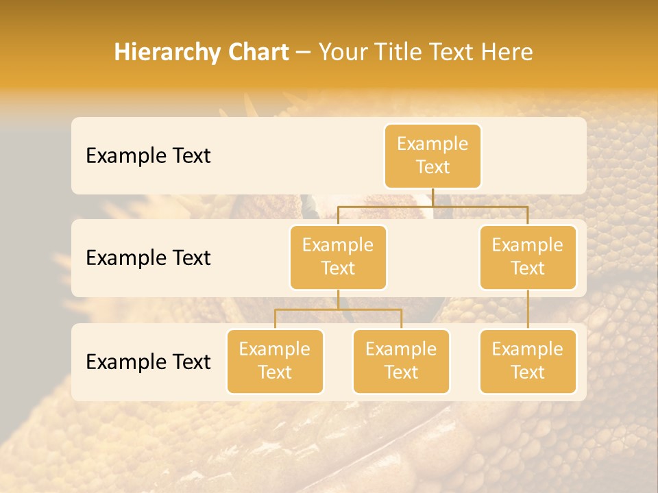 New Caledonian Crested Gecko Reptile Ciliatus PowerPoint Template