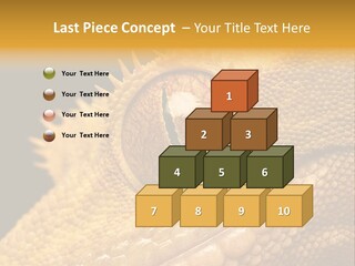 New Caledonian Crested Gecko Reptile Ciliatus PowerPoint Template