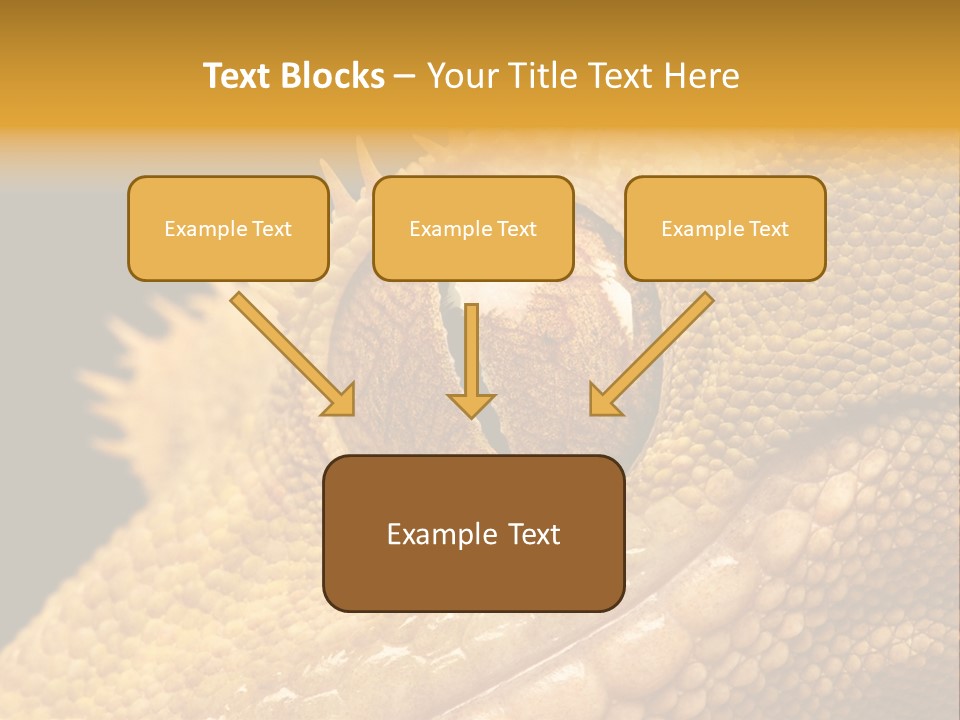 New Caledonian Crested Gecko Reptile Ciliatus PowerPoint Template