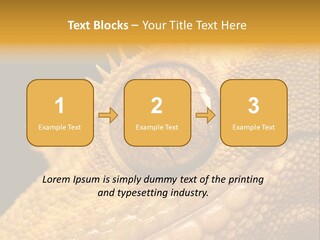 New Caledonian Crested Gecko Reptile Ciliatus PowerPoint Template