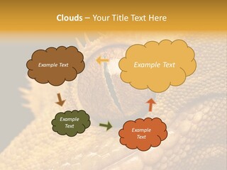 New Caledonian Crested Gecko Reptile Ciliatus PowerPoint Template