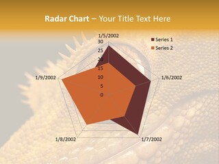 New Caledonian Crested Gecko Reptile Ciliatus PowerPoint Template