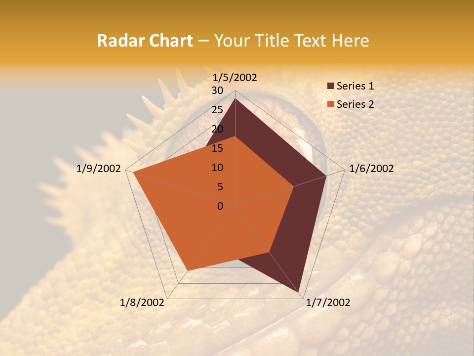 New Caledonian Crested Gecko Reptile Ciliatus PowerPoint Template