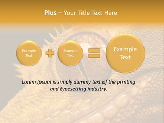 New Caledonian Crested Gecko Reptile Ciliatus PowerPoint Template