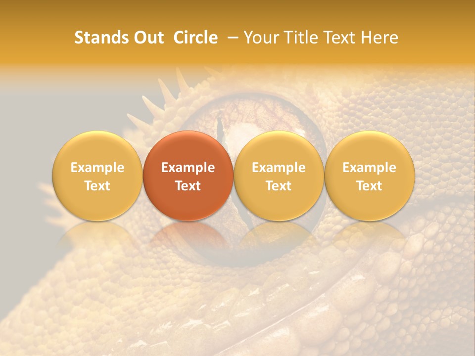 New Caledonian Crested Gecko Reptile Ciliatus PowerPoint Template