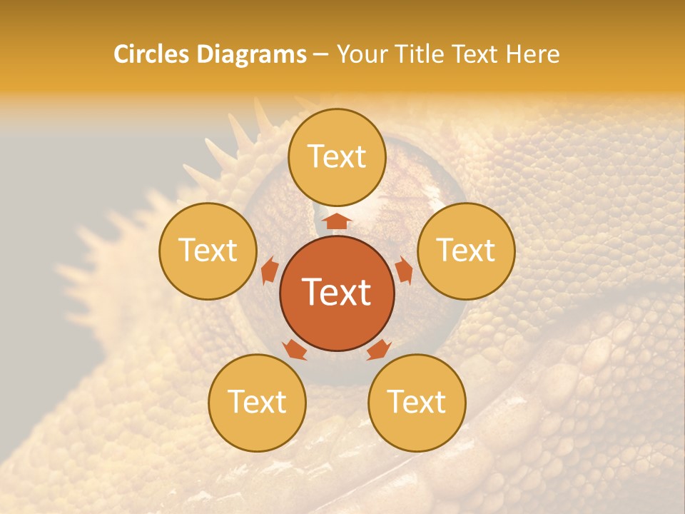 New Caledonian Crested Gecko Reptile Ciliatus PowerPoint Template