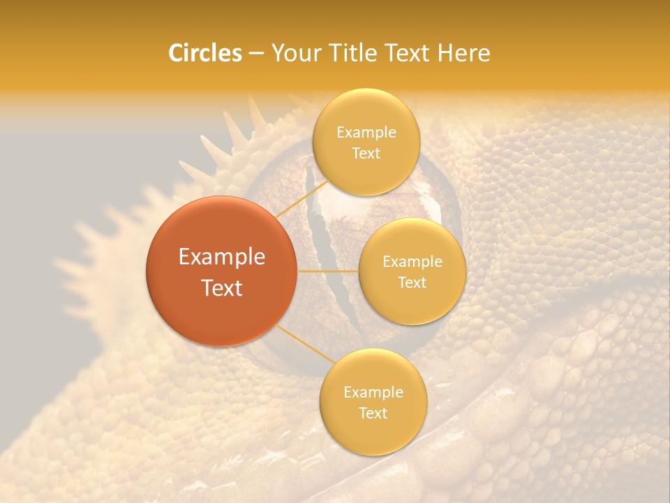 New Caledonian Crested Gecko Reptile Ciliatus PowerPoint Template