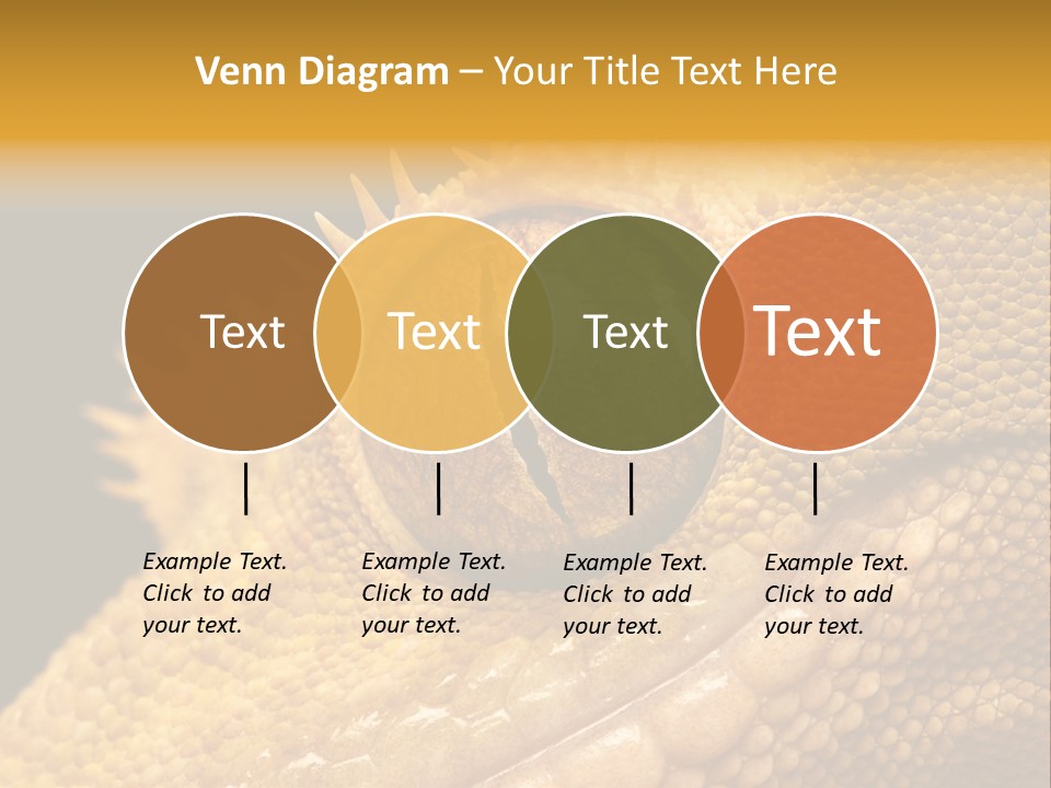 New Caledonian Crested Gecko Reptile Ciliatus PowerPoint Template