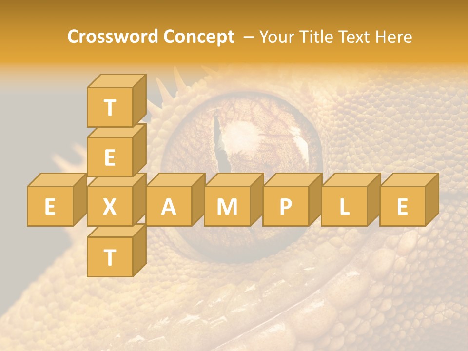 New Caledonian Crested Gecko Reptile Ciliatus PowerPoint Template