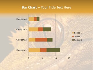 New Caledonian Crested Gecko Reptile Ciliatus PowerPoint Template