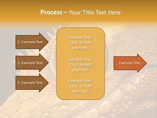 New Caledonian Crested Gecko Reptile Ciliatus PowerPoint Template