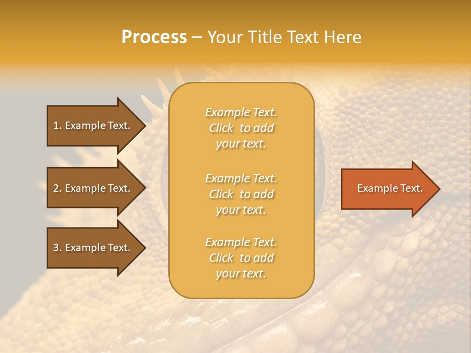 New Caledonian Crested Gecko Reptile Ciliatus PowerPoint Template