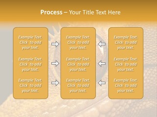 New Caledonian Crested Gecko Reptile Ciliatus PowerPoint Template