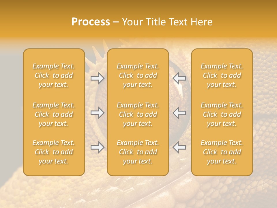 New Caledonian Crested Gecko Reptile Ciliatus PowerPoint Template