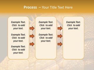 New Caledonian Crested Gecko Reptile Ciliatus PowerPoint Template