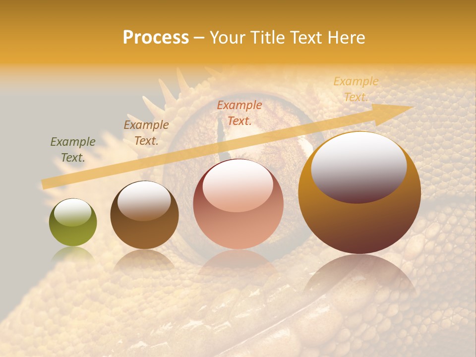 New Caledonian Crested Gecko Reptile Ciliatus PowerPoint Template