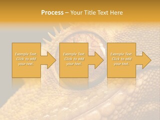 New Caledonian Crested Gecko Reptile Ciliatus PowerPoint Template