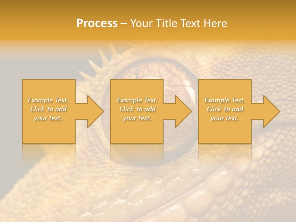 New Caledonian Crested Gecko Reptile Ciliatus PowerPoint Template