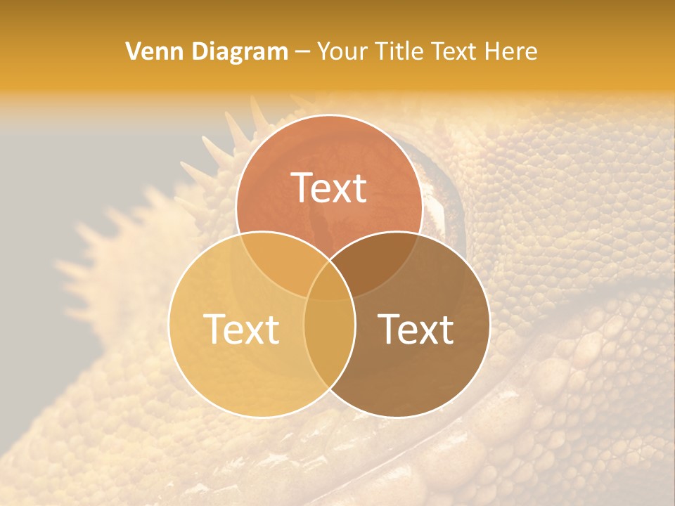 New Caledonian Crested Gecko Reptile Ciliatus PowerPoint Template