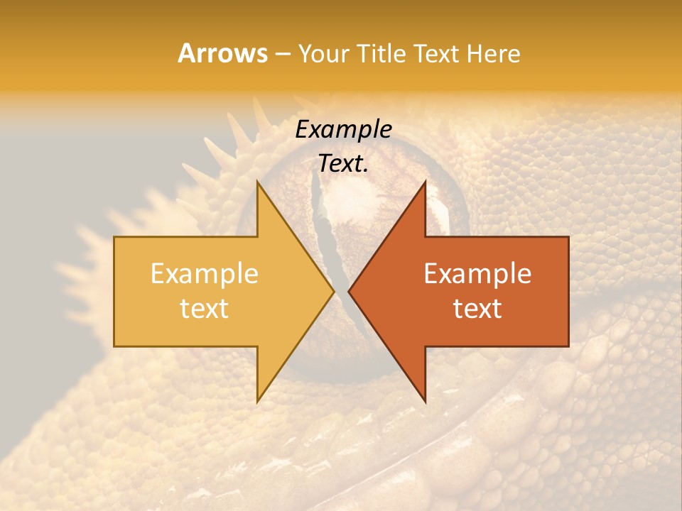 New Caledonian Crested Gecko Reptile Ciliatus PowerPoint Template