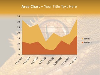 New Caledonian Crested Gecko Reptile Ciliatus PowerPoint Template