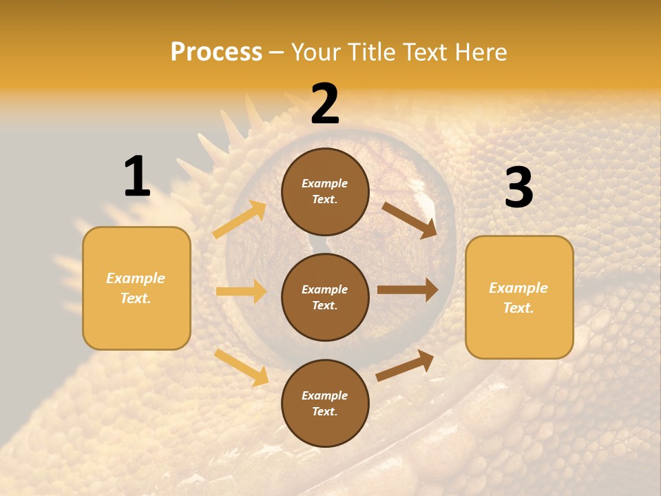 New Caledonian Crested Gecko Reptile Ciliatus PowerPoint Template