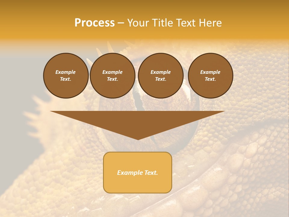 New Caledonian Crested Gecko Reptile Ciliatus PowerPoint Template