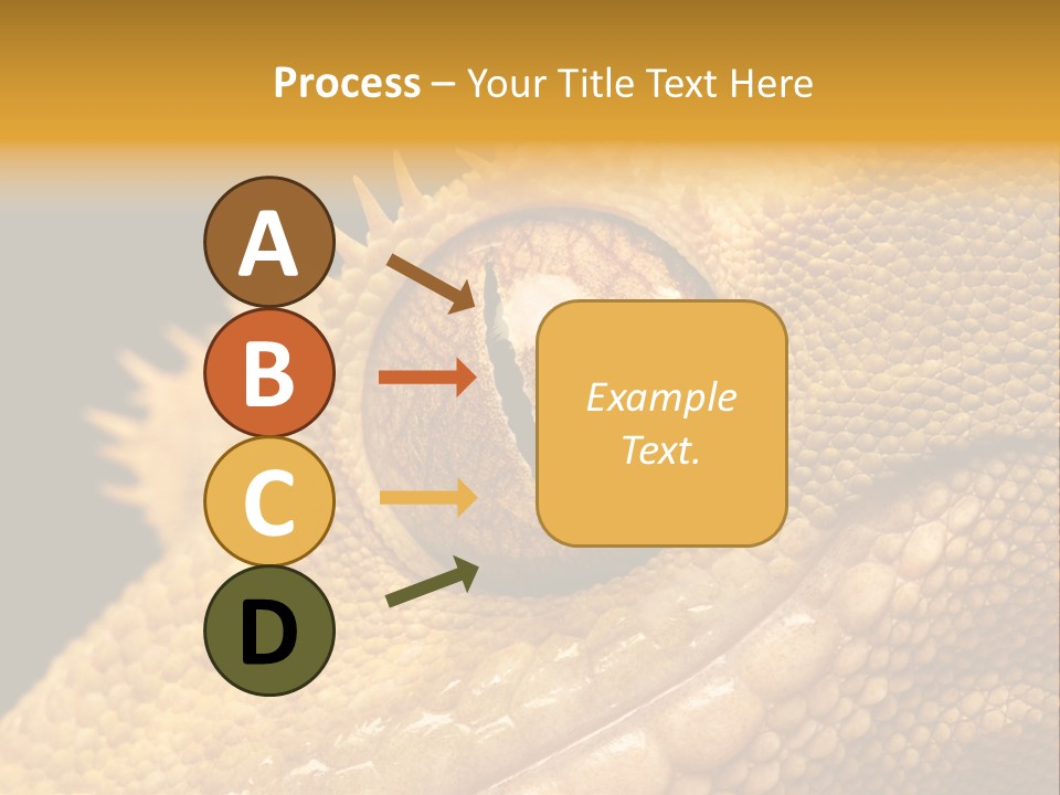 New Caledonian Crested Gecko Reptile Ciliatus PowerPoint Template